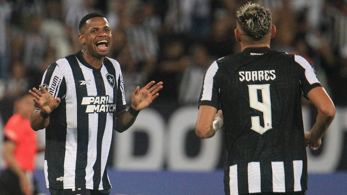 Botafogo 6 Aurora 0 Libertadores 2024 melhores momentos