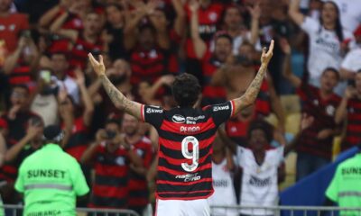 Flamengo 2 x 0 Palestino Libertadores 2024 melhores momentos