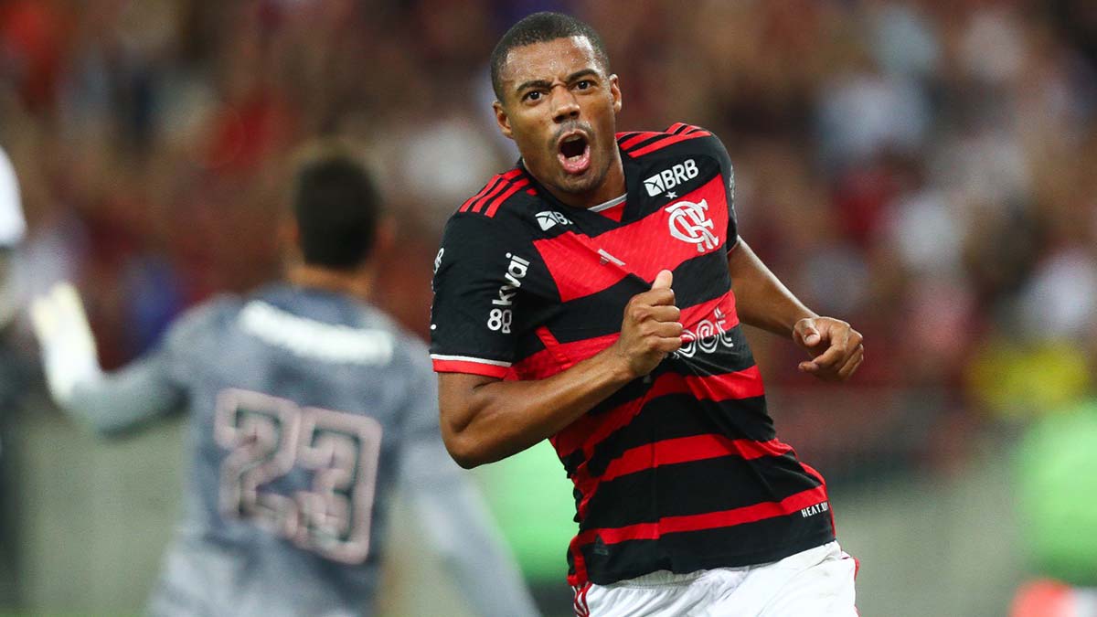 Flamengo 2 x 1 São Paulo Brasileirão 2024 melhores momentos