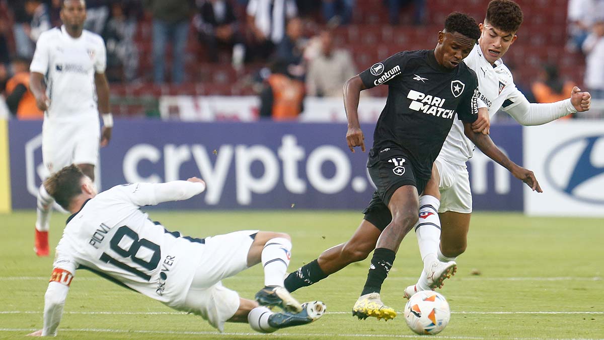 LDU 1 x 0 Botafogo Libertadores 2024 melhores momentos