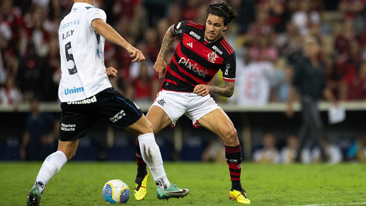 O Flamengo assegurou sua posição de líder no Brasileiro ao vencer o Grêmio por 2 a 1 no Maracanã: confira gols e melhores momentos.